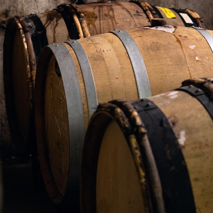 Casks in which whisky is stored